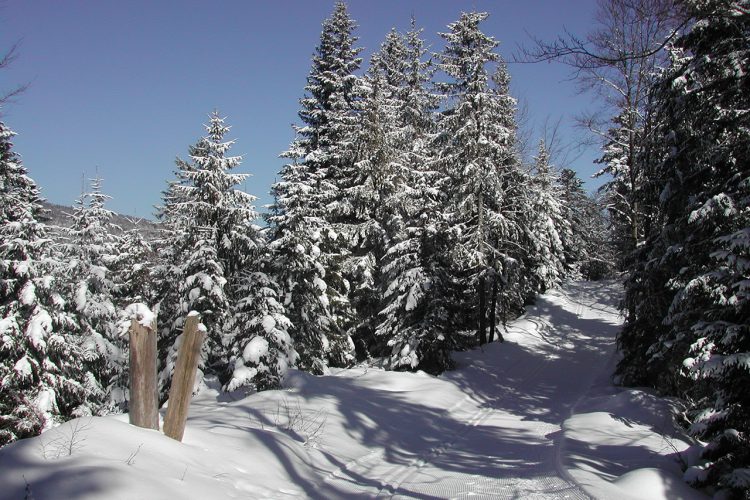 St-George